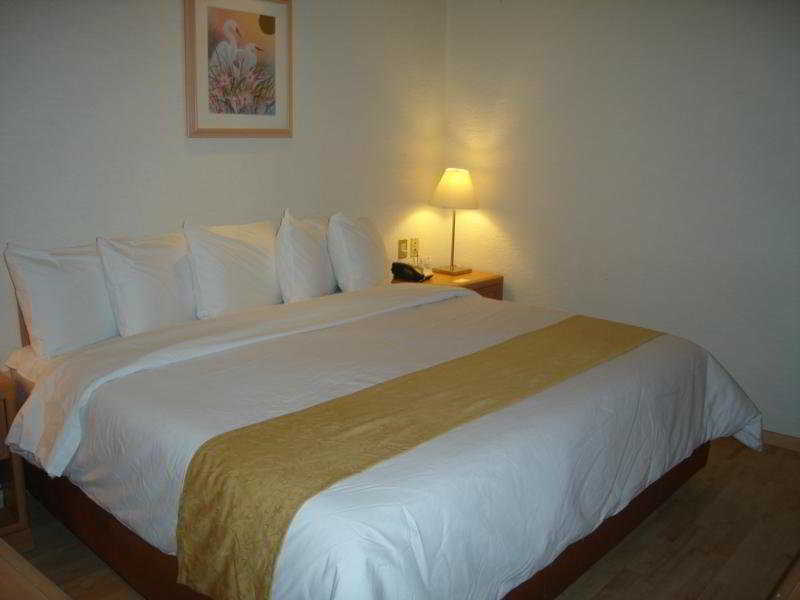 Hotel Pf Mexico City Exterior photo